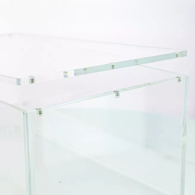 Boîtier acrylique Phoenix Shield – Pokémon Bundle Box